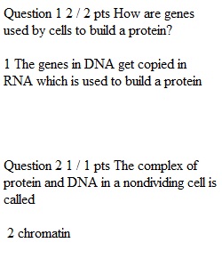 Chapters 4 and 5 Quiz